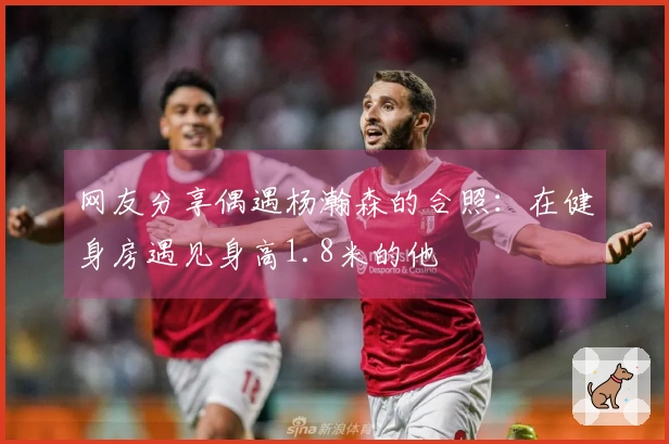 网友分享偶遇杨瀚森的合照：在健身房遇见身高1.8米的他